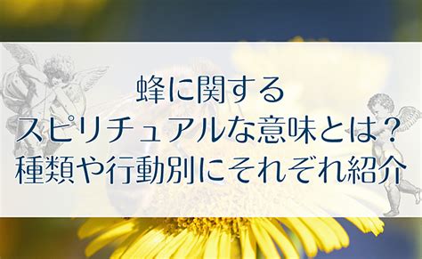 「性器」に関する夢占い スピリチュアルな意味 無料のあたる占。